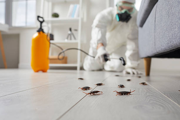 Trusted Cockroach Control service in Wilkinson Heights, SC - Nex Pest Control